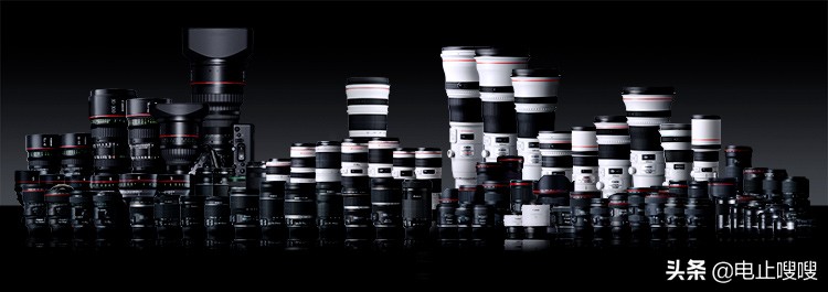 新手入门相机单反和微单的区别,无反相机和微单相机的区别
