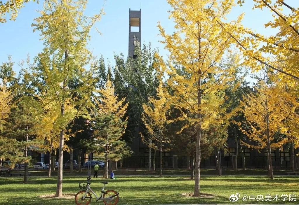九大美院校园风景,中国九大美院校园风采