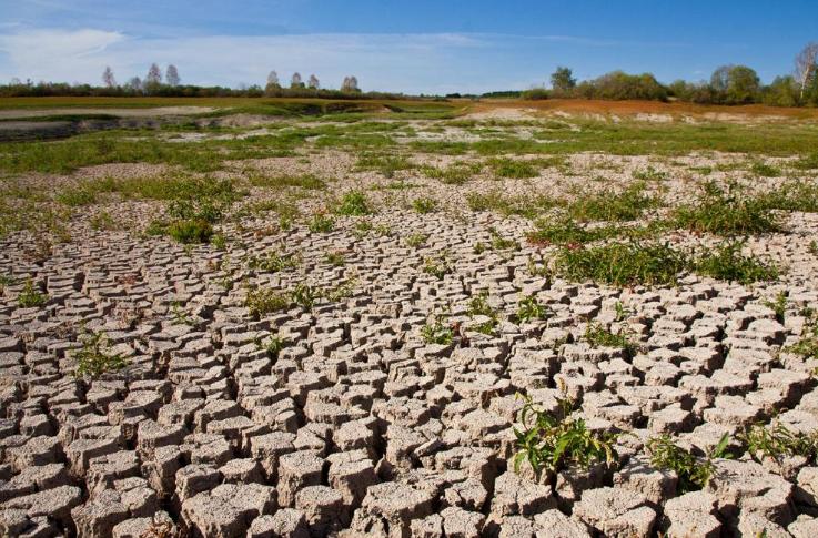 西双版纳热带雨林就是原始森林吗,西双版纳离城区近的原始沟谷雨林