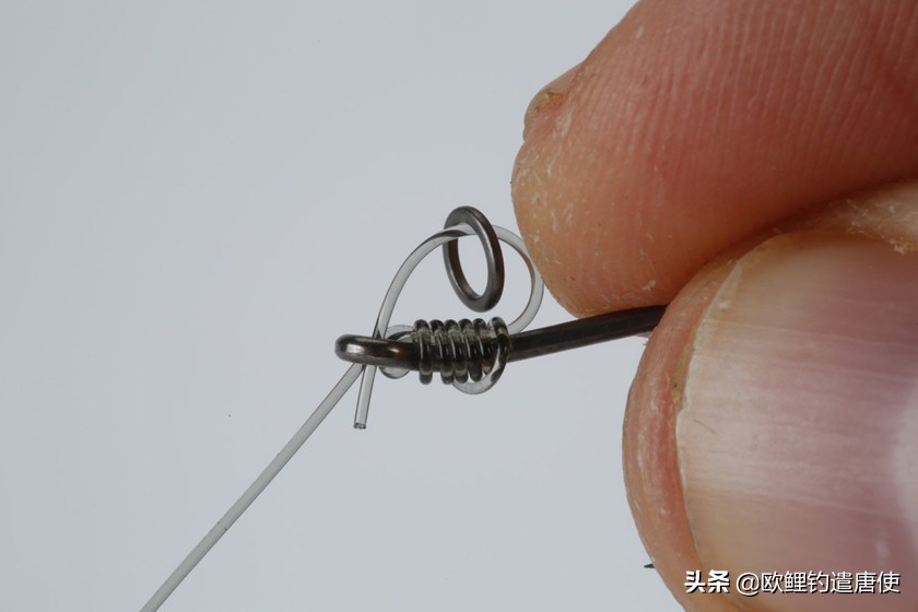 欧鲤钓钓组篇,欧鲤钓组和飞德钓组