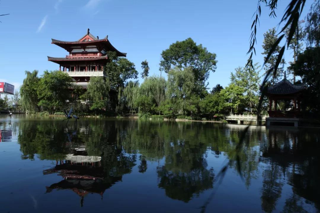 中国城唐人街在线观看,四川成都崇州唐人街