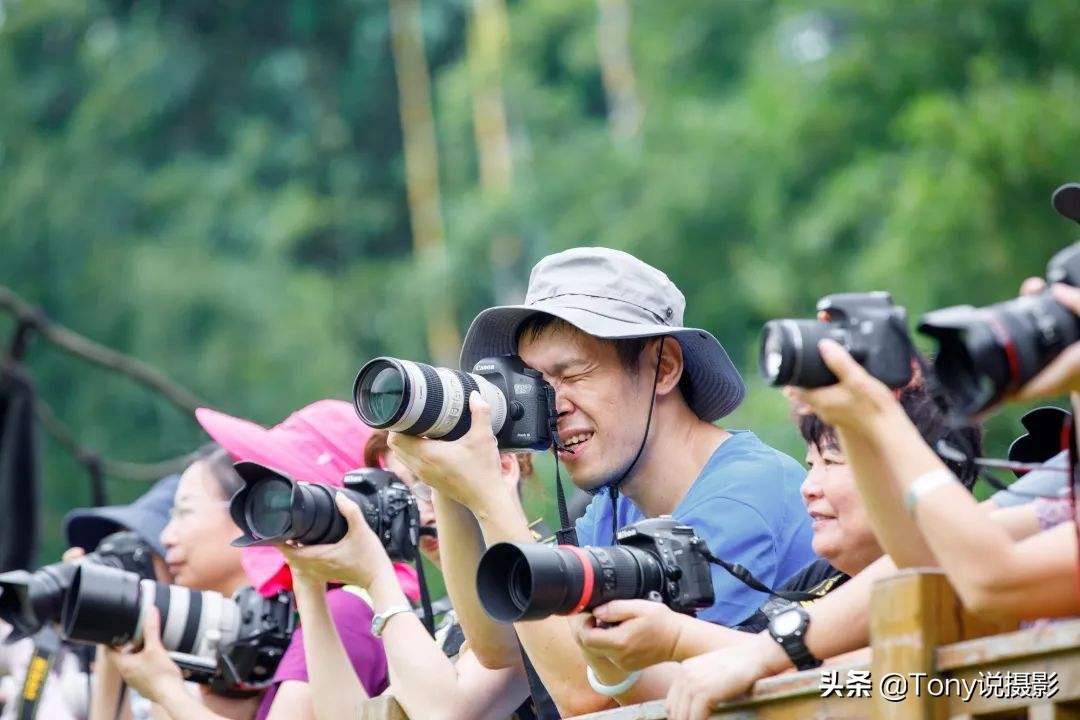 穷摄影推荐长焦镜头,摄影基础知识长焦