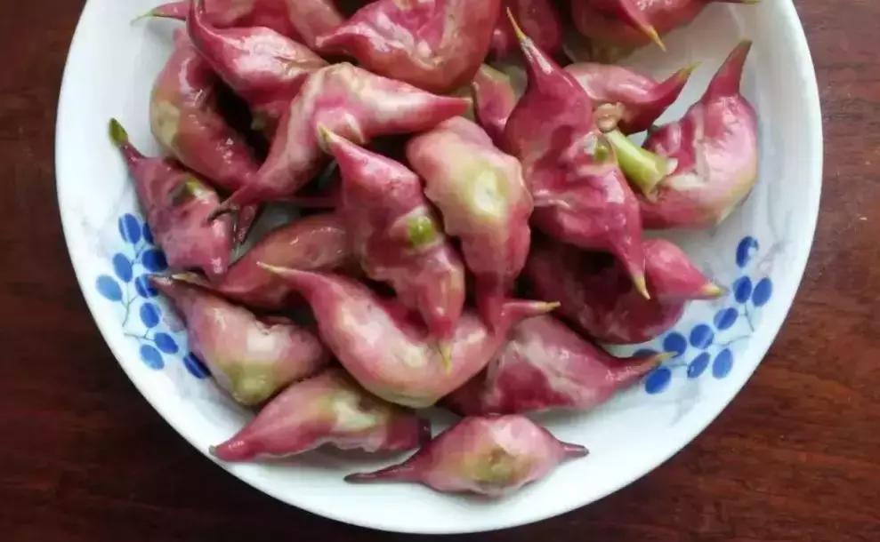 苏州大闸蟹美食,苏州姑苏区美食大闸蟹