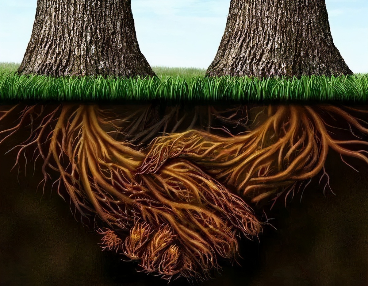 怎样才算真正的朋友二年级,怎么才算真朋友