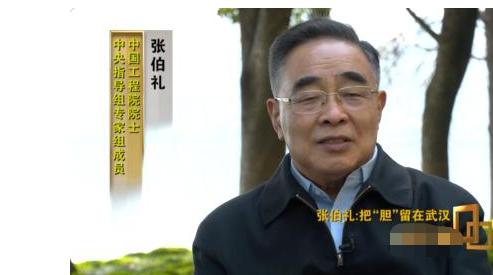 中央节目主持人董倩现在干嘛呢,董倩主持人最近的消息