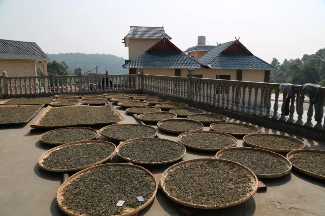 庆沣祥七彩云南普洱,庆沣祥七彩云南名门普洱