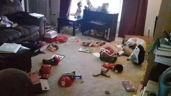 购买吸尘器注意什么,买吸尘器避坑