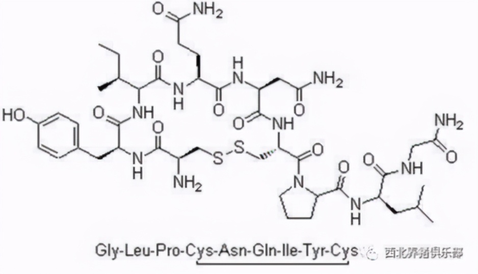 表面上大家都是打工人，有的同事却背地里学习《母猪的产后护理》