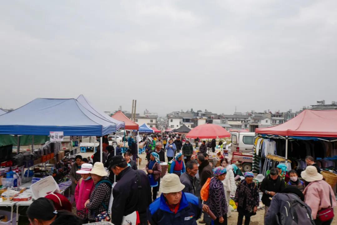 带你看大理的苍山洱海,大理洱海你去过感觉怎样