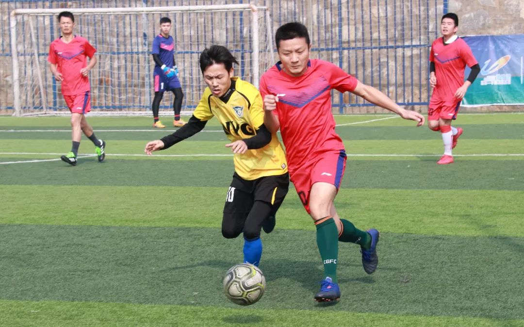 碧桂园最美营销人员名单,碧桂园最大老板在哪