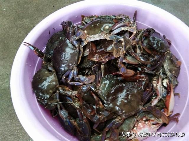 唐山月坨岛009号别墅农家院（原乐亭三岛幸福农家院）享休闲时光