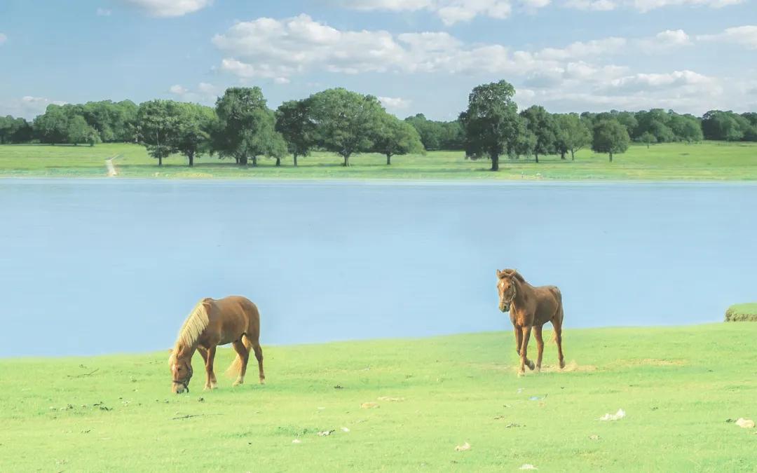 刁钻的问题和绝妙的回答值得一看,史上最刁钻的问题和最绝妙的回答