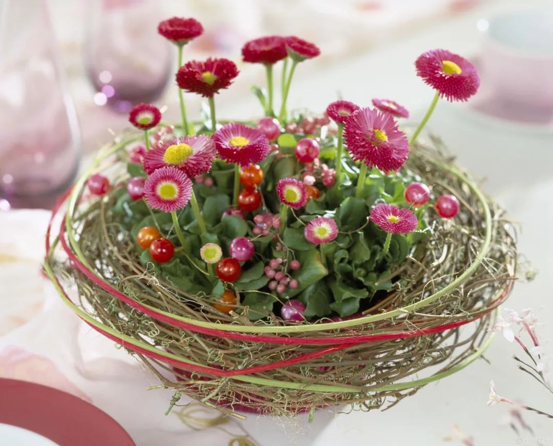 祝贺老师教师节快乐的图片,教师节给老师的玫瑰花语