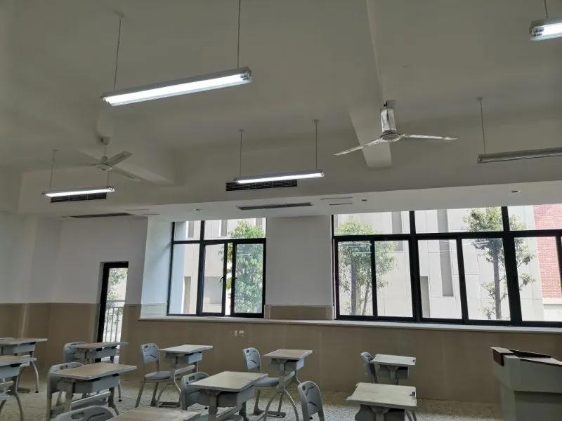 大竹林西大附中环境,西大附中大竹林图片