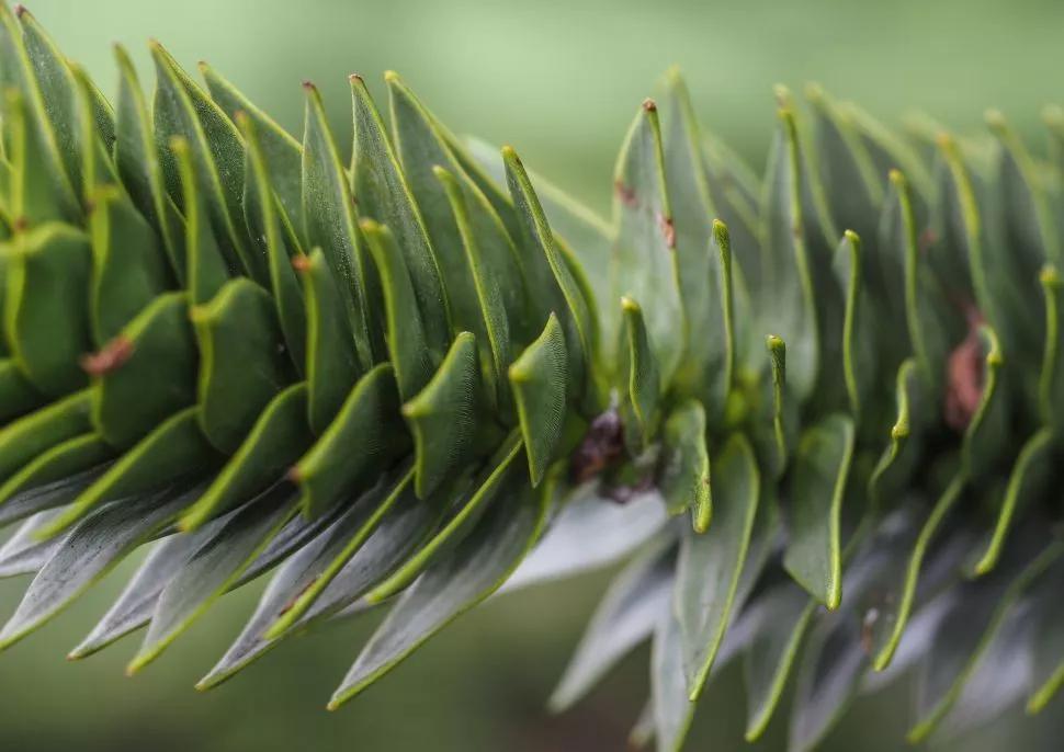 奥林巴斯e-m10markiii拍风光,奥林巴斯em1markiii样张