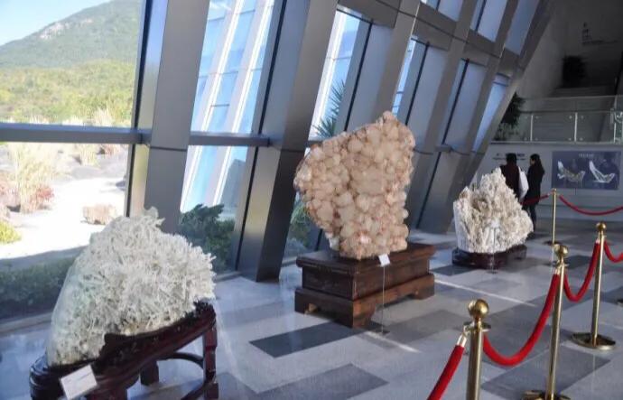 深圳海边最好的公园,深圳有几个靠海的公园