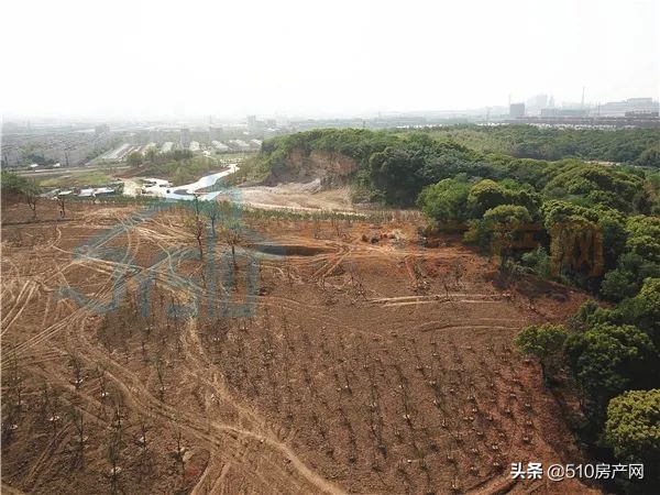 建设项目新进展,建设新进展