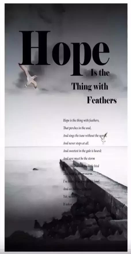 平衡页面布局制作,怎么让页面设计更高级