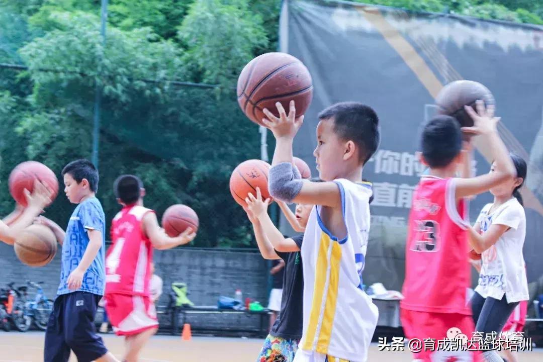 打篮球前准备事项,育成鸡注意事项