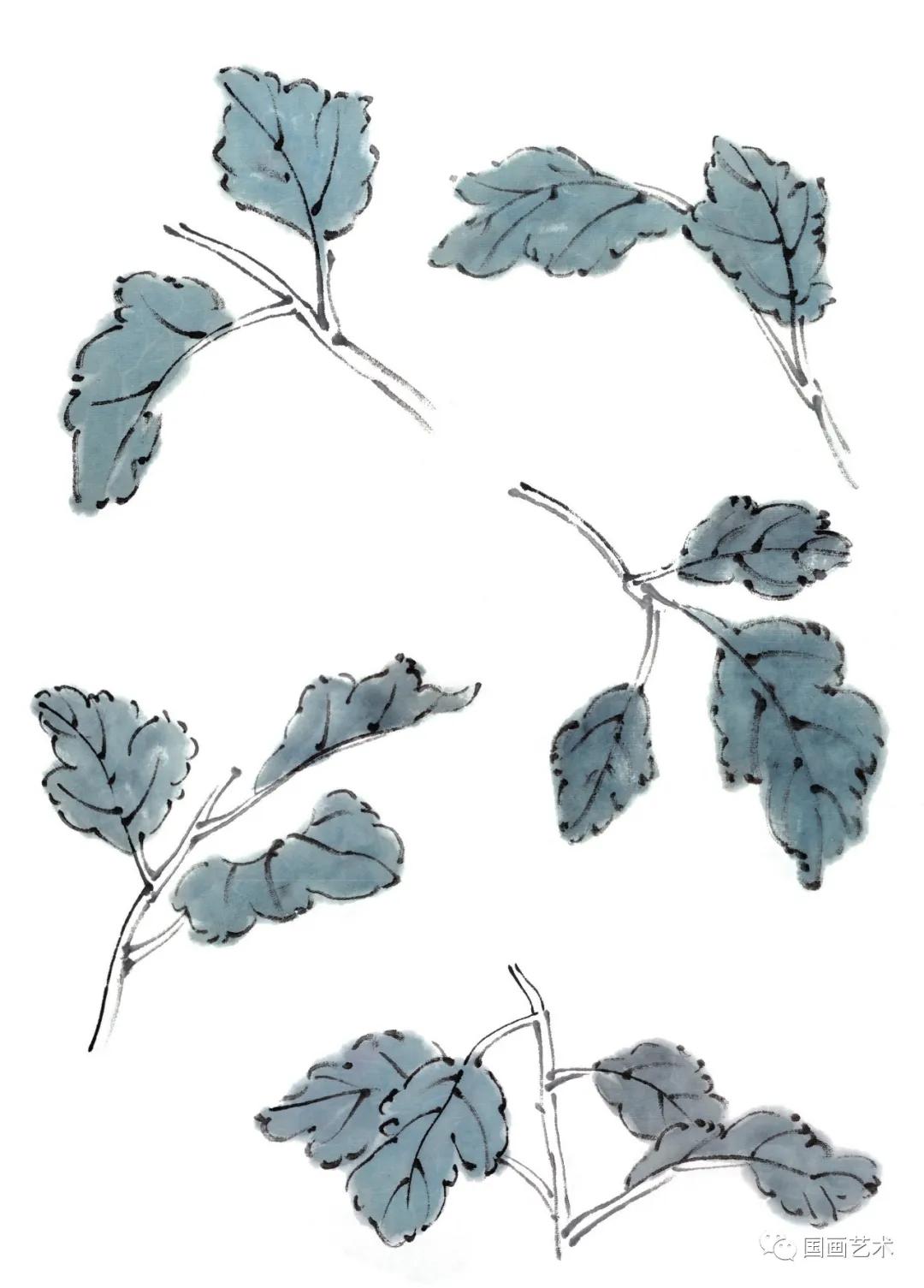 国画写意菊花龙爪菊,写意菊花画法教程简单