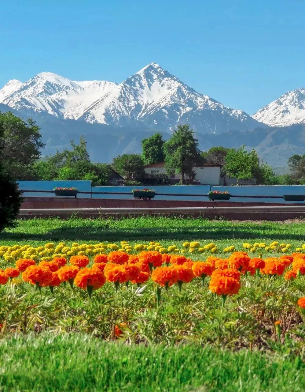 中国至今没被认全的20个邻居，个个身怀宝藏，你知道几个？