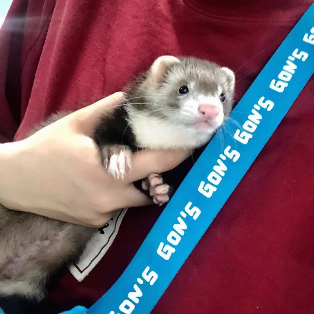 抗衰第一步从防晒做起,抗衰必备好物推荐