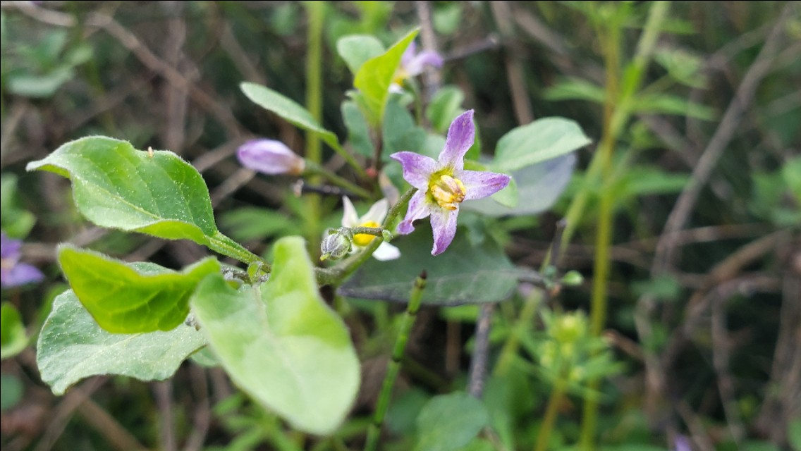 悠闲的时光惬意的生活,一个人的惬意时光诗词