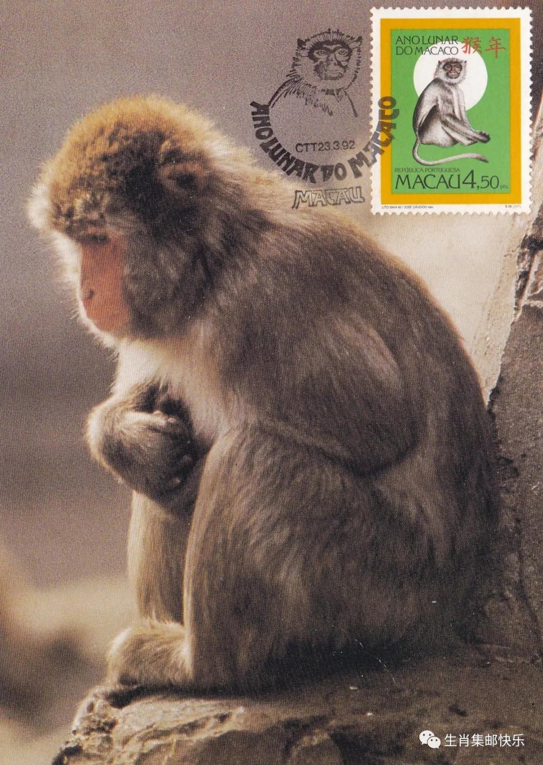 中国传统文化中生肖的寓意,中国传统文化之生肖文化图片2018