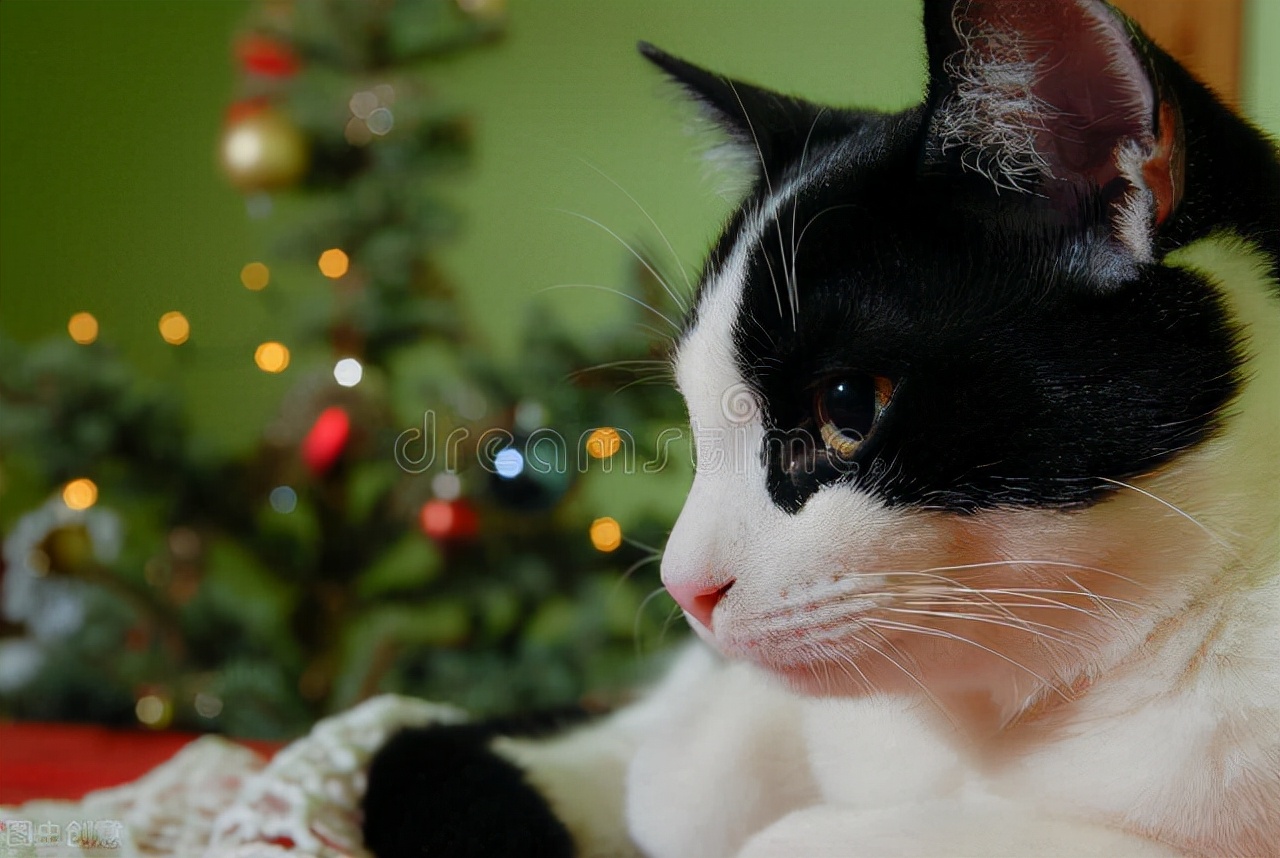 孔子看人识人的方法,孔子靠这三步识人