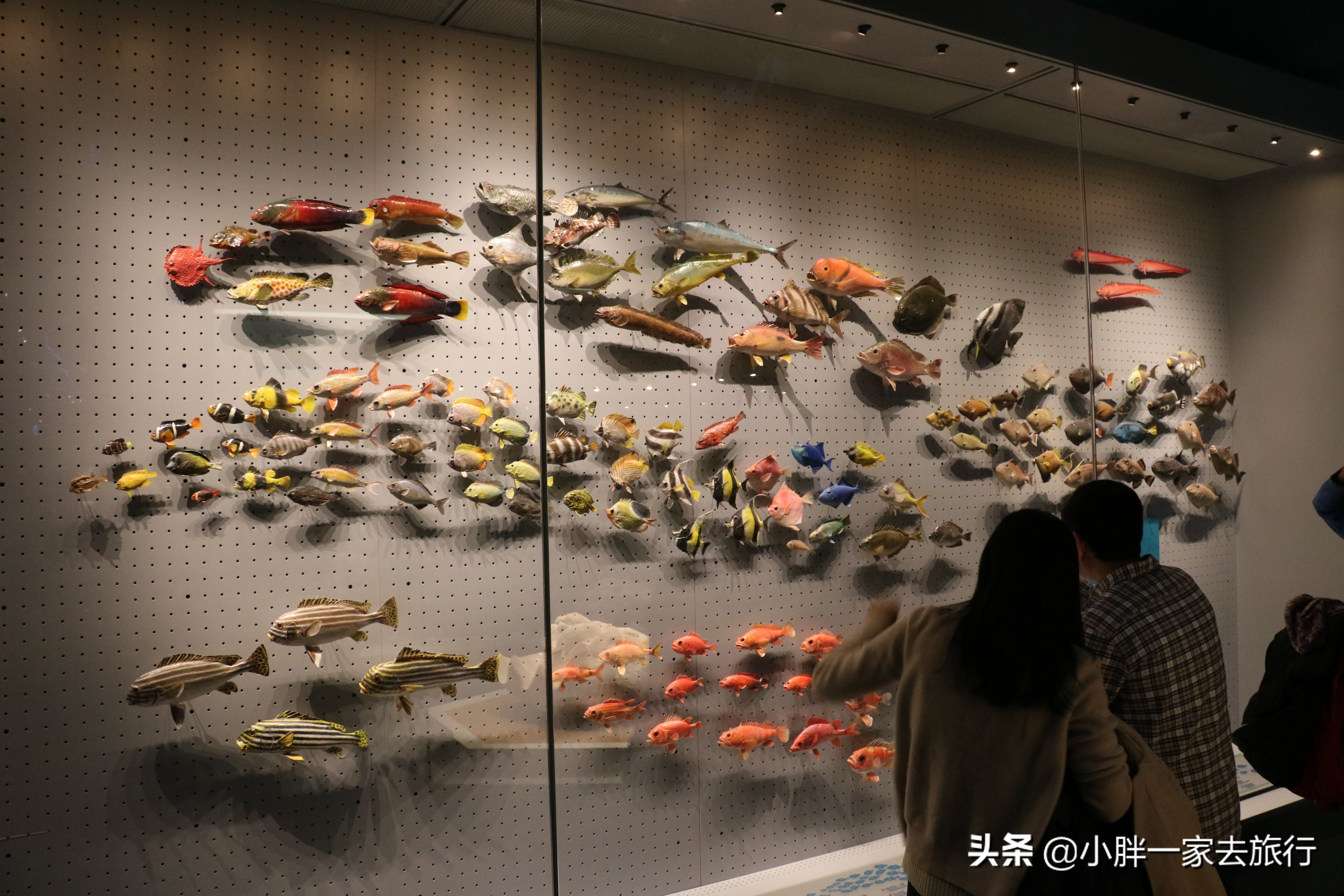 最大的北京海洋博物馆,海上故宫国家海洋博物馆