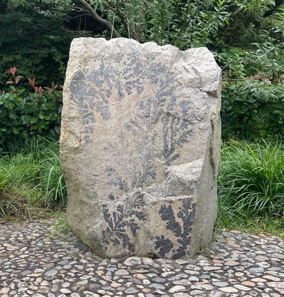 舟山桃花岛武侠城,舟山群岛桃花岛金庸文化园