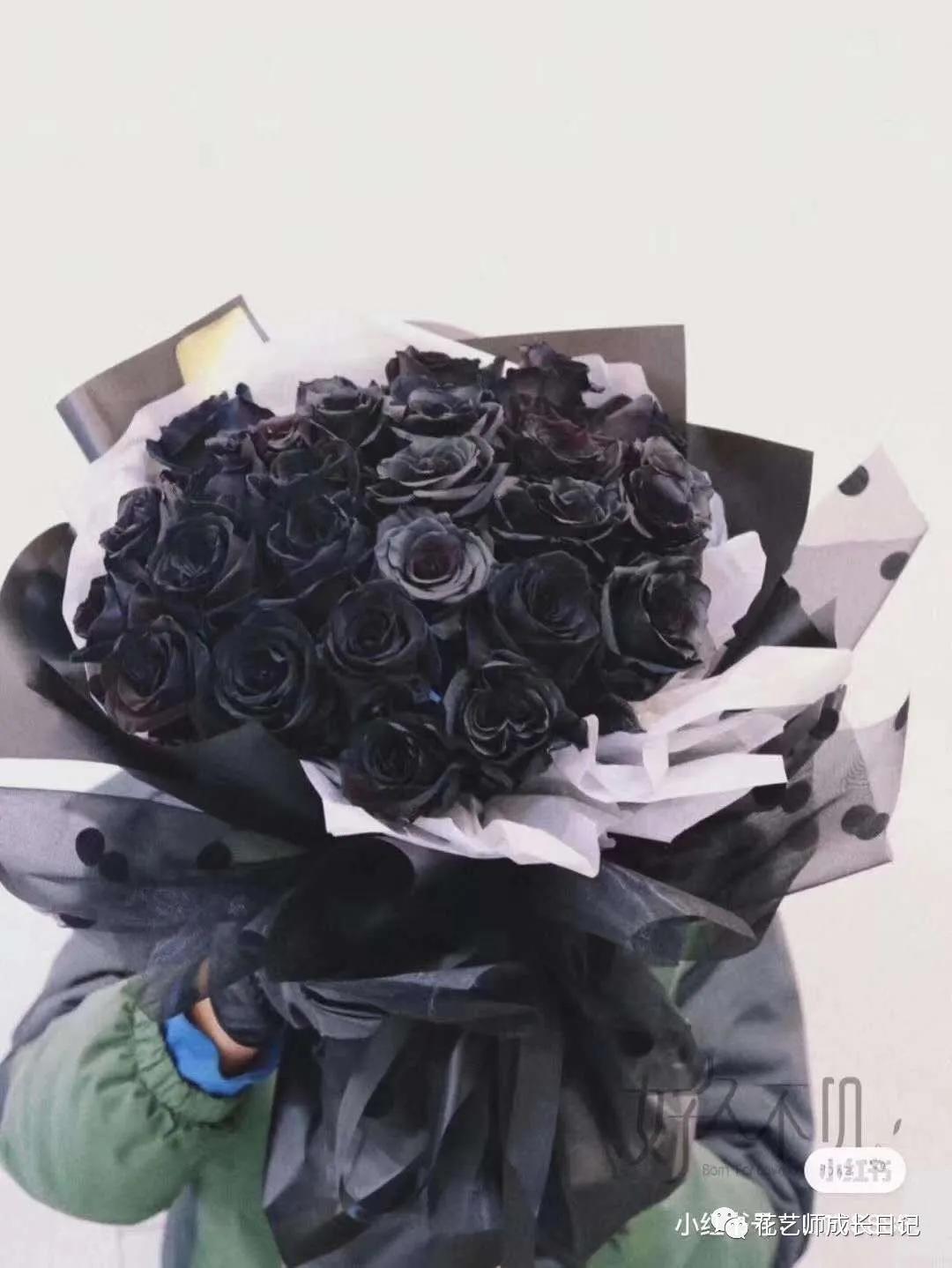 每日一花桃红玫瑰花,每日一花flowers