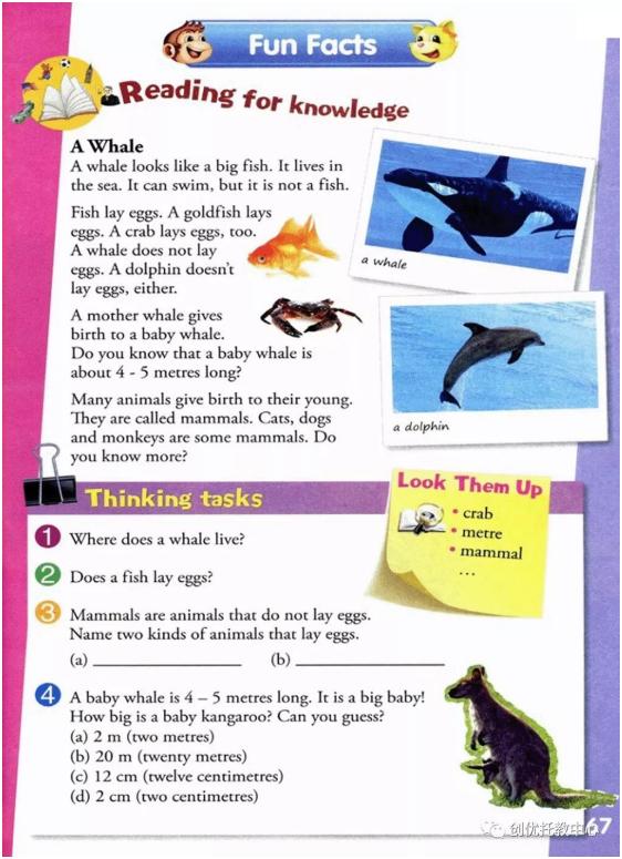 人教精通版英语五年级上册电子课本，超高清，老师拿去用