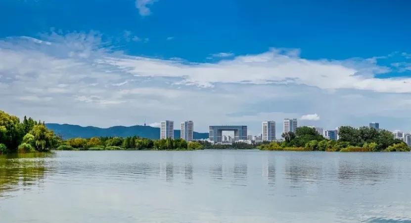 无锡生物医药产业分析,无锡生物医药产业规模