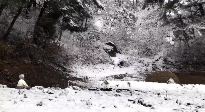 韩国最感人的爱情影片,感人催泪片段韩国纪录片