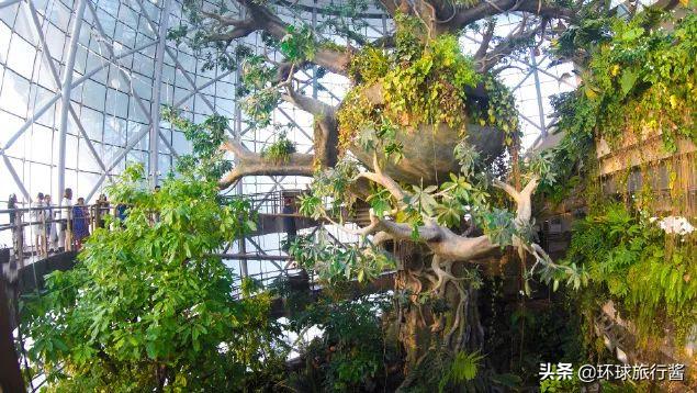 迪拜旅游攻略详细介绍 (迪拜游玩攻略自由行)