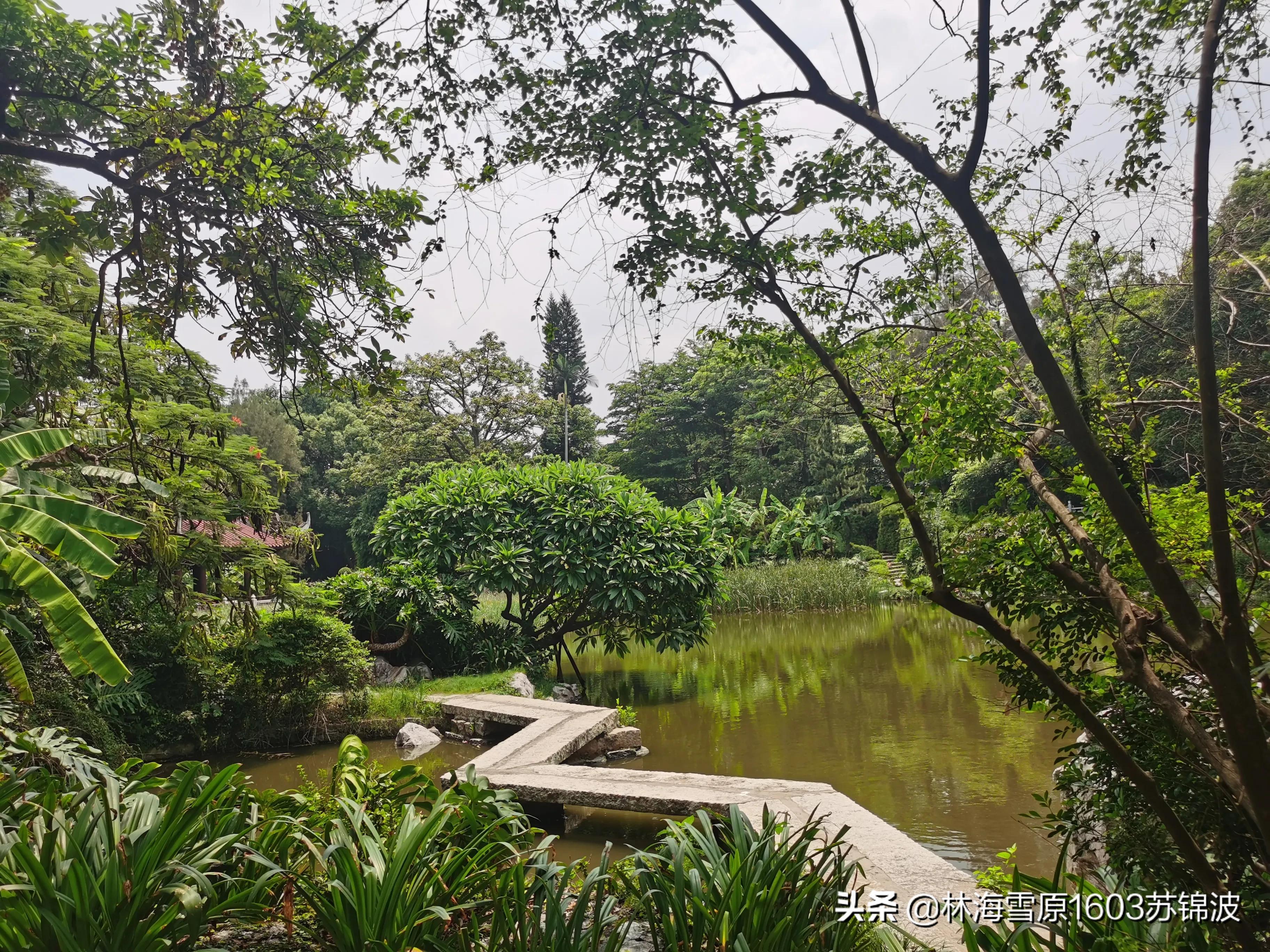泉州芳草园最新消息,泉州芳草园附近风景