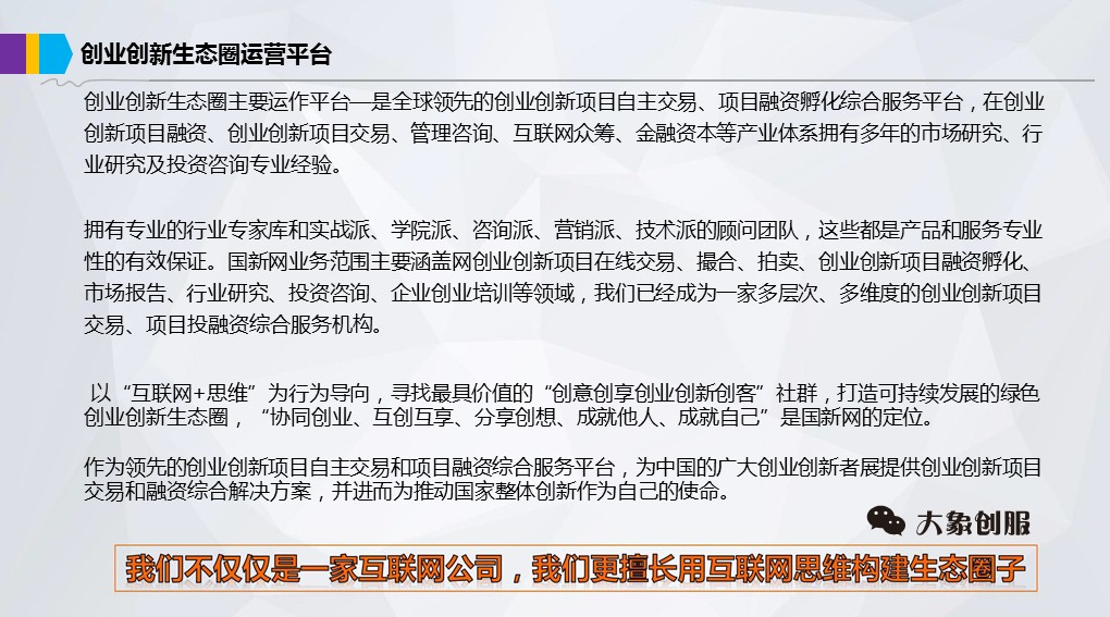 网络商业计划书模板,商业项目融资创业计划书