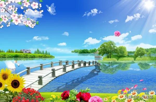 我的游戏人生,我的游戏人生经历