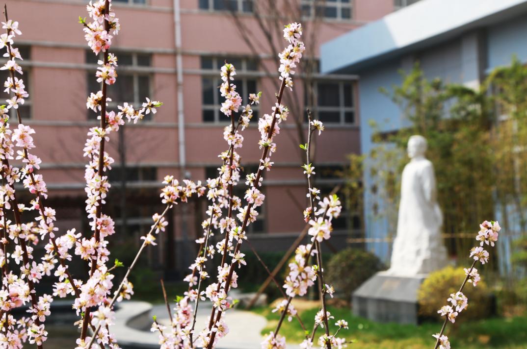 河北师大附中学校是干嘛的,河北师大附中学校好不好