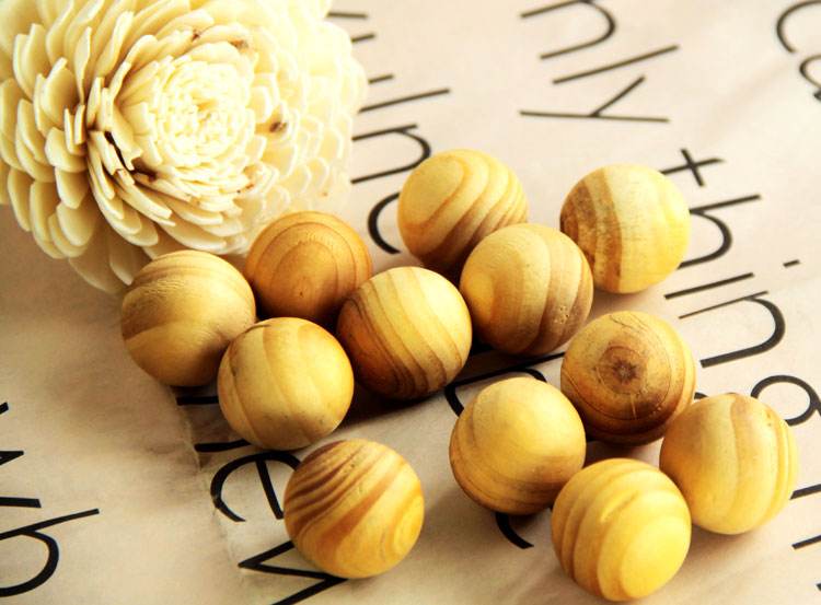 假如在家中衣柜发现它，说明家里有问题，抓紧告诉家人处理！