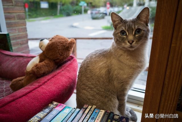 2020年照相机排行榜,2022年值得入手照相机