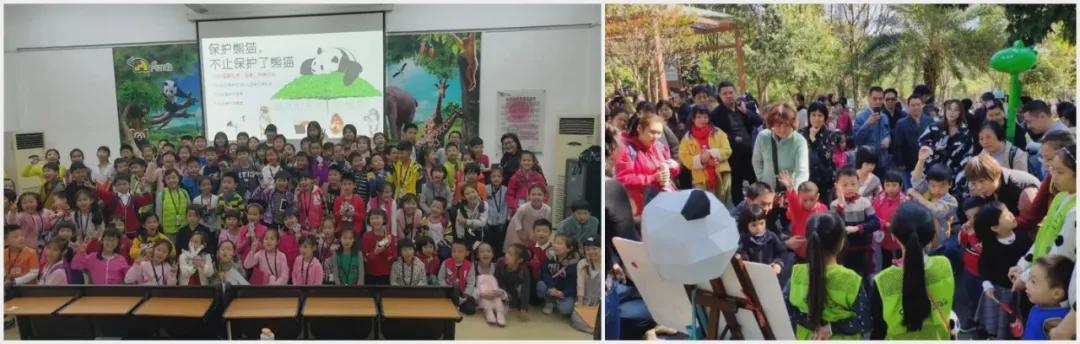 动物园怎么玩的具体介绍,动物园怎么玩更好玩