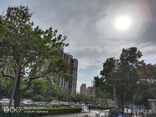vivoz5x全面测评 (值得买吗vivo z5x)
