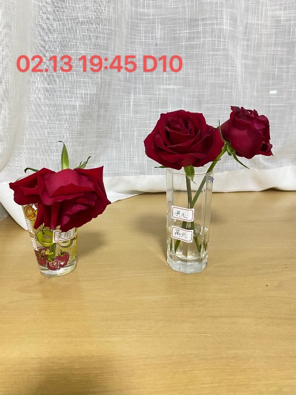 无形决定有形的说法,无形决定有形