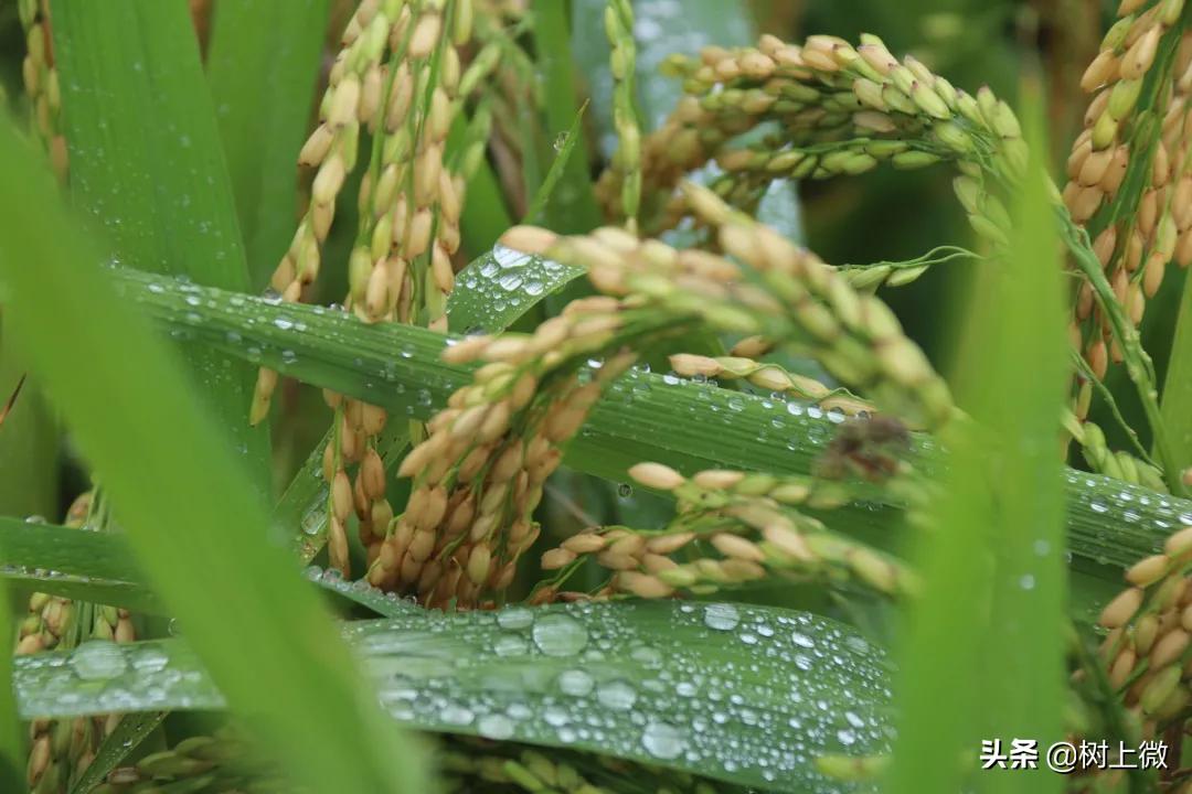 不可错过的美景,不可错过的美丽风景