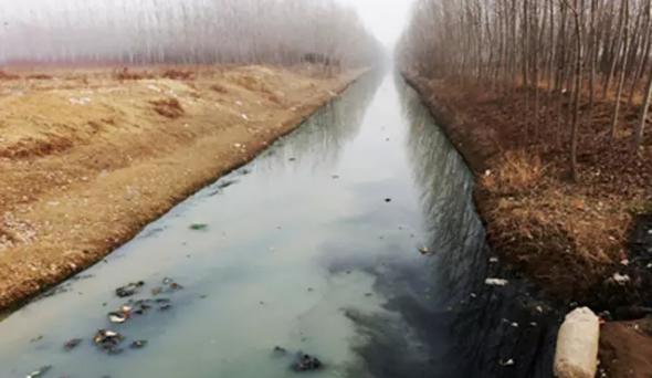 无土栽培技术视频免费,蔬菜无土栽培技术视频