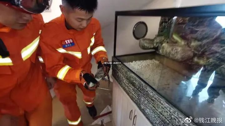 震惊!美国12岁男孩与14岁女孩持枪和警方对射半小时【新闻早七点】