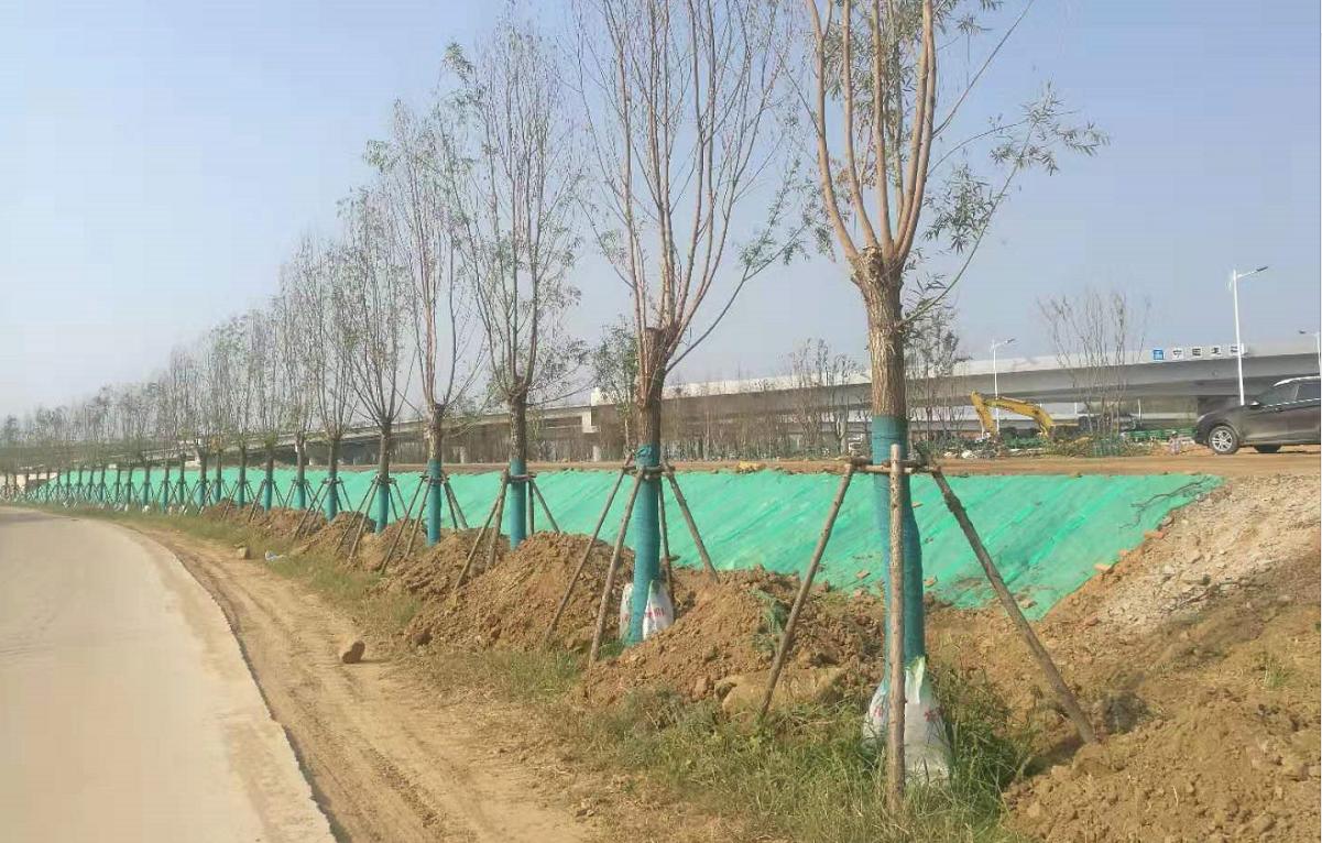 黄陂前川线最新进展,武汉黄陂前川中环线通车