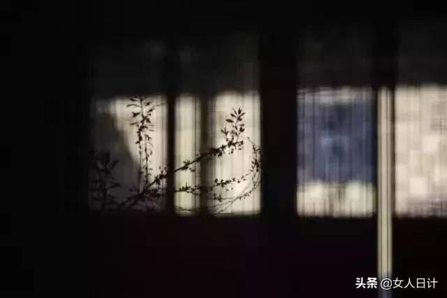 梁实秋生活美学,梁实秋生活在别处